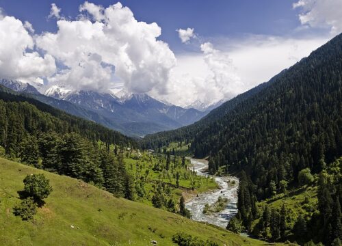 Kashmir Family Package 7 Nights 8 Days